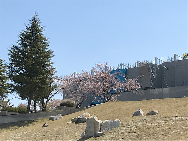 龍北競技場の桜も咲きました。